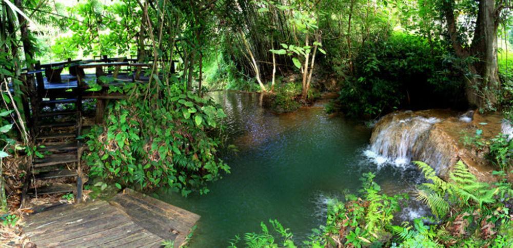 Rabeang Pasak Treehouse Resort Чіангмай Екстер'єр фото
