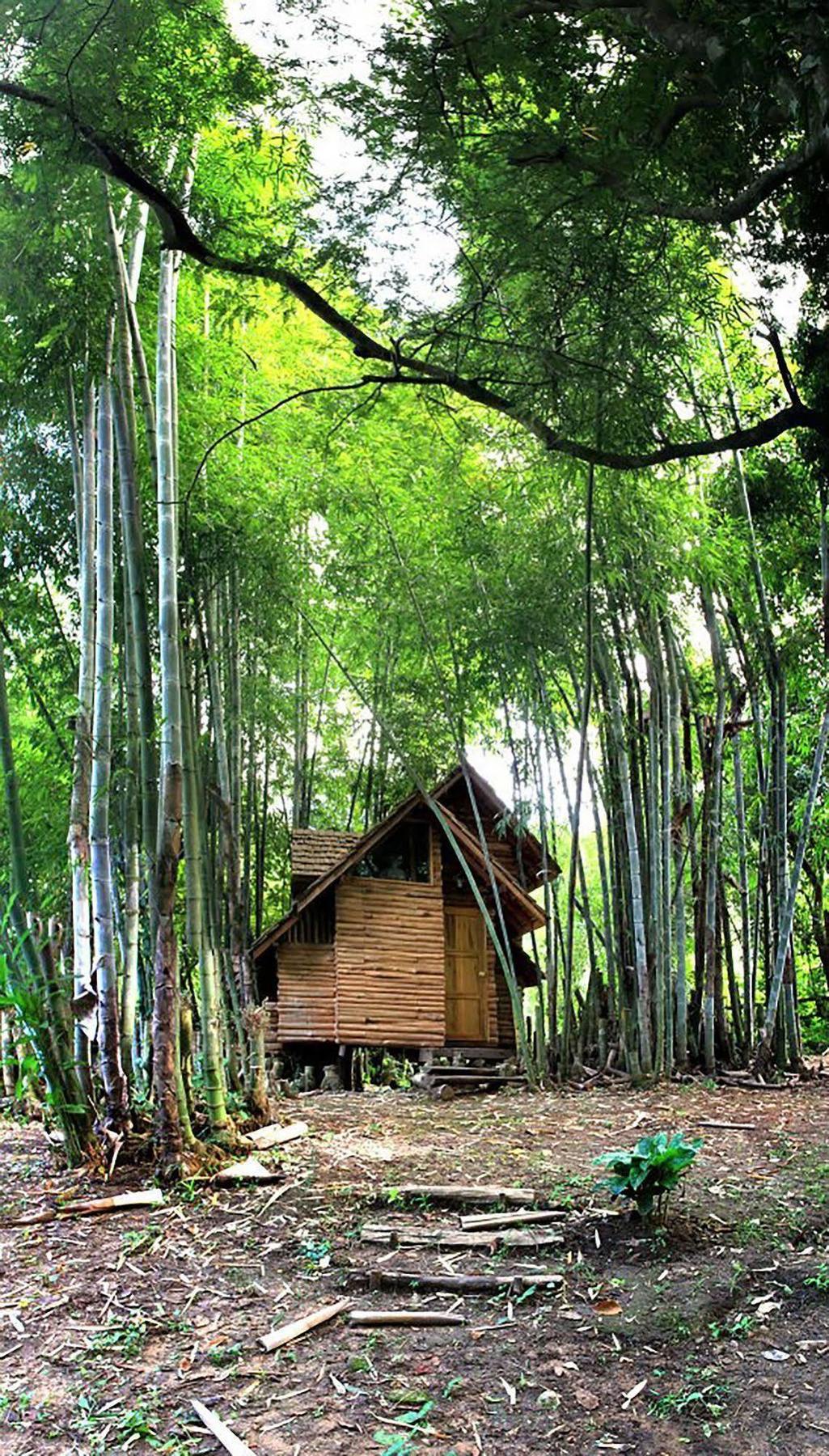 Rabeang Pasak Treehouse Resort Чіангмай Екстер'єр фото